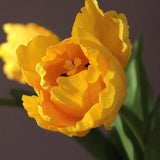 1pcs New Silk Luxury Parrot Tulip 60cm Artificial Flower Real Touch Fake Flower Bouquet For Wedding Decoration Home Garen Decor