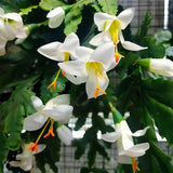 Large Artificial Plants Fake Flower Red Crab Claw Wedding Decoration Hotel Garden Home Decor Accessories