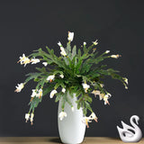 Large Artificial Plants Fake Flower Red Crab Claw Wedding Decoration Hotel Garden Home Decor Accessories