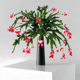 Large Artificial Plants Fake Flower Red Crab Claw Wedding Decoration Hotel Garden Home Decor Accessories